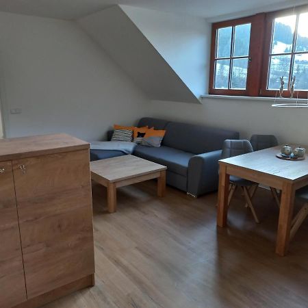Apartman Acko Polansky Dvur - Velké Karlovice Kültér fotó